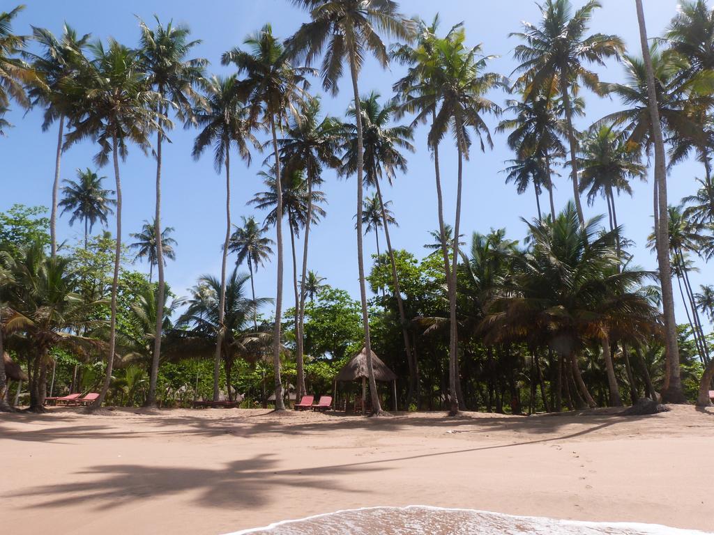 Ankobra Beach Resort Axim Zewnętrze zdjęcie