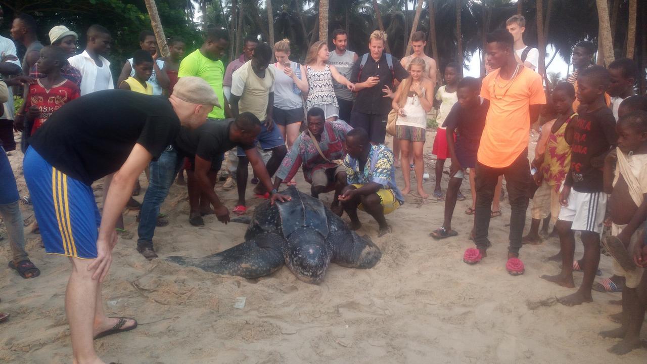 Ankobra Beach Resort Axim Zewnętrze zdjęcie